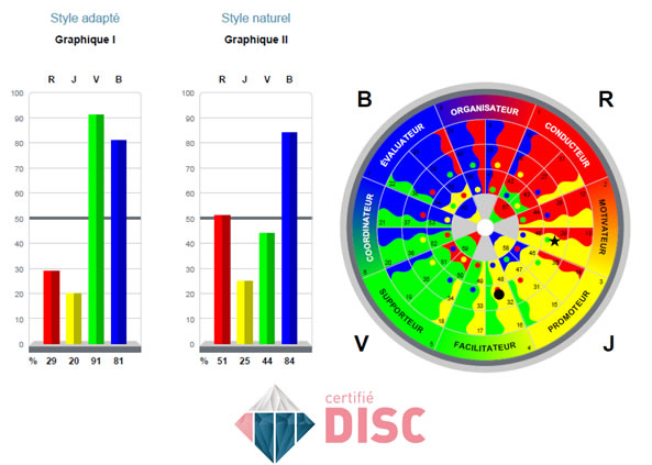 Optimiser l'éfficacité relationnelle - Certifié Disc